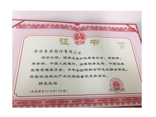 國家重點龍頭企業(yè)