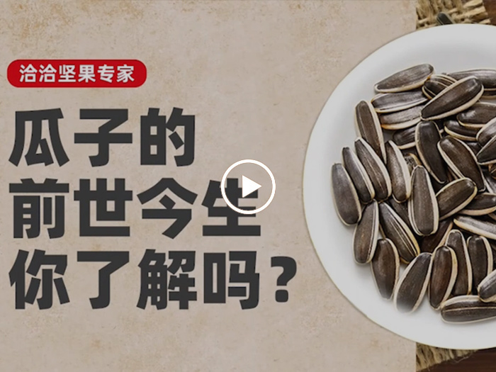 瓜子的前世今生